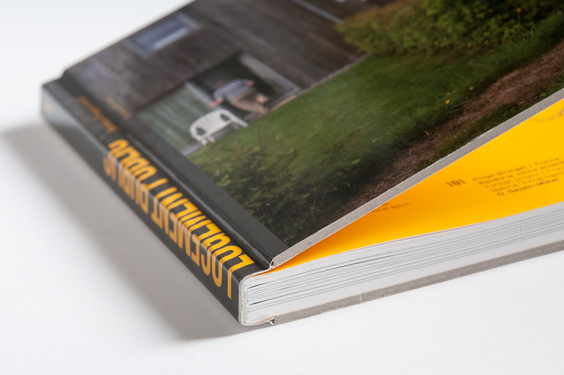 Logement public / Living in a rural area
Bourgeois, Marie - Dassonville, Chantal - Dawance, Sophie - Kempf, Mathilde - Eggerickx,
Thierry - Gauzin-Müller, Dominique