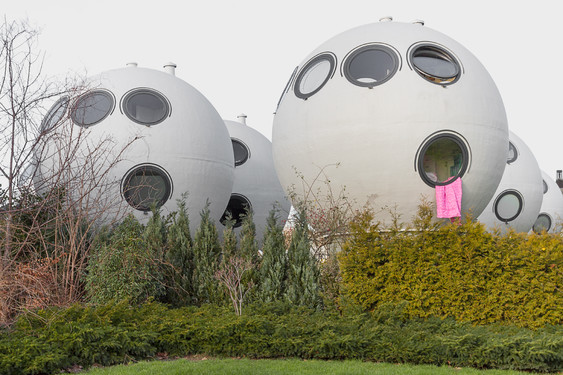 ©Andy Simon 
Bollenveld's