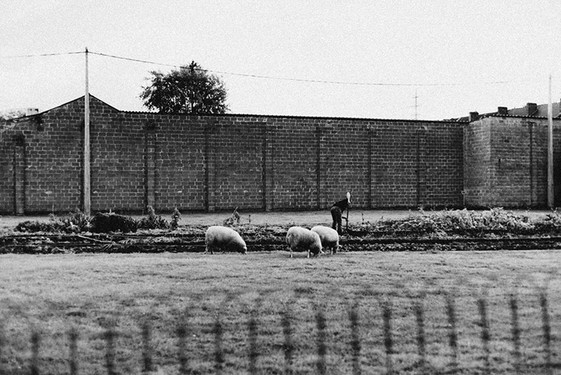 Namur, 2017
© Jean-François Flamey
