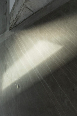 Architecte : Specimen Architects
Projet : KOL - Vedrin, Belgique. 
www.specimenarchitects.com