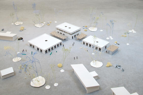 Campus en plein air