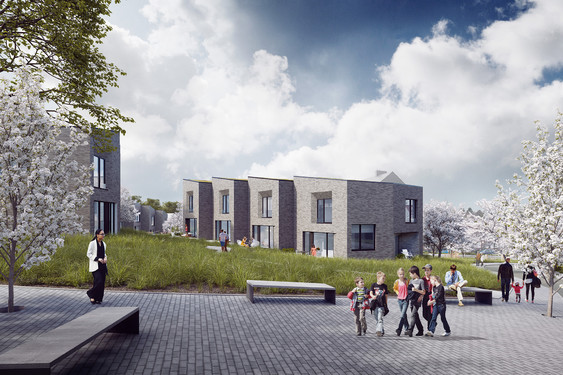 Homborchveld
