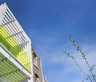 Architectural lace / Wonderbra