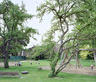 IV Tourettes Garden