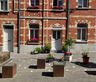 Artisans, the edible street
