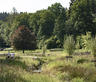 Wetlands – Chevetogne