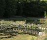 Wetlands – Chevetogne