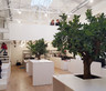 NG Offices
