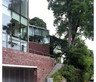 Stine-Gybels House