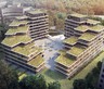 Neerveld