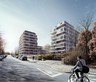 Neerveld