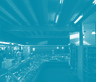 Organic farm shop