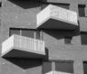 Archiducs