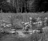Wetlands – Chevetogne