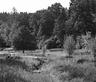 Wetlands – Chevetogne