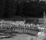 Wetlands – Chevetogne
