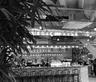 Bambino Canteen