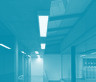 Office - ANTHE