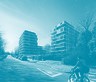 Neerveld